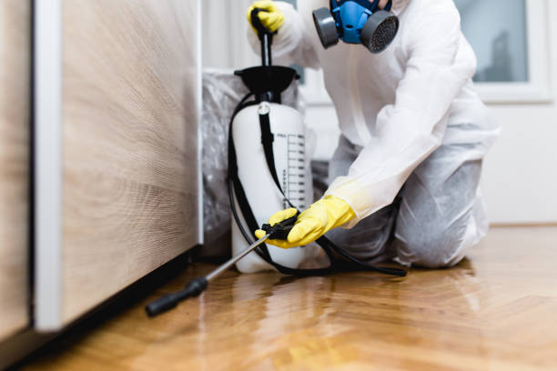 Best Best Pest Control Companies  in Lincoln Beach, OR