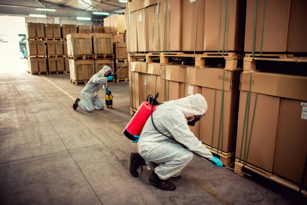 Best Pest Control Treatment  in Lincoln Beach, OR