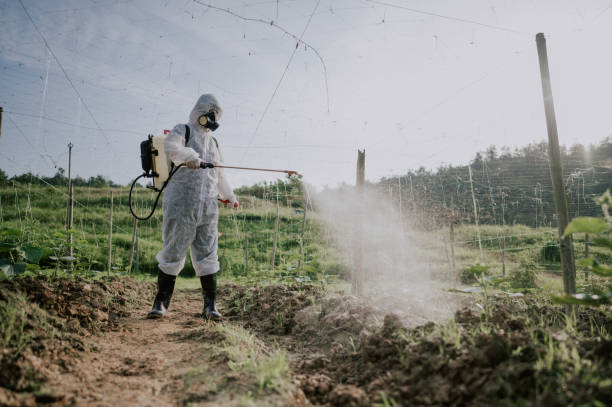 Best Mosquito Control Services  in Lincoln Beach, OR