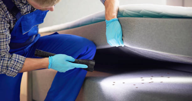 Reliable Lincoln Beach, OR Pest Control Solutions