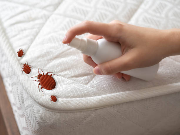 Best Ant Control Services  in Lincoln Beach, OR